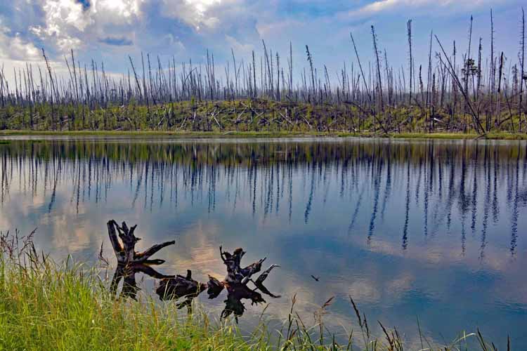 scenic pond